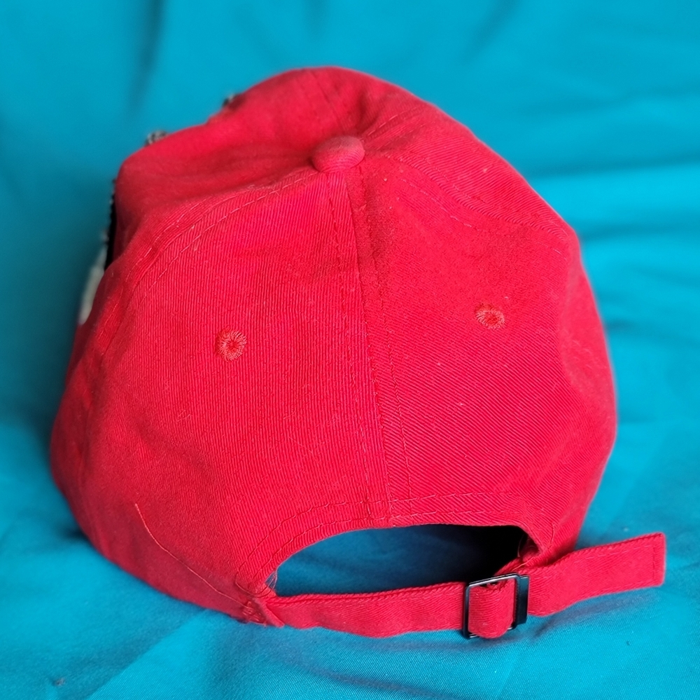 Usa cap - Picture 3 of 4